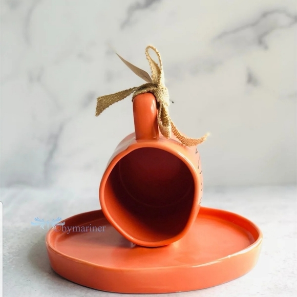 Rae Dunn Drive Thru Bird Feeder - Picture 3 of 6